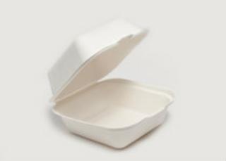 Clam Tray Bagasse 15x15cm