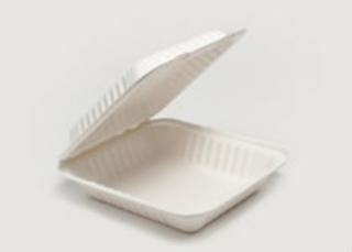 Clam Tray Bagasse 20x21cm