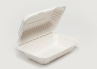 Clam Tray Bagasse 23x15cm