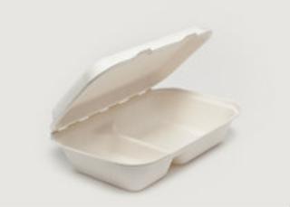 Clam Tray Bagasse 2comp 25x16cm