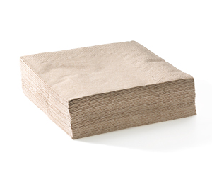 Dinner Napkin 2 Ply (1/4 Fold) Natural - BioNapkin