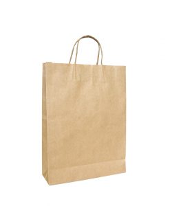 Twisted Handle Paper Bags Medium (260+120)x360