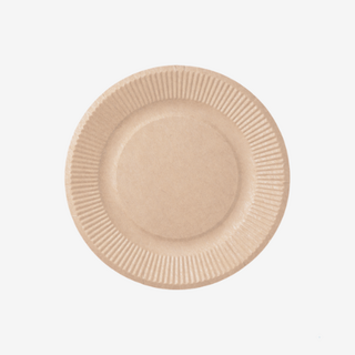 Disposable Plates for Catering & Food Service